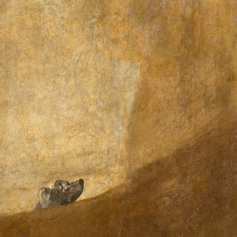 6. Museo del Prado - Perro semihundido Fragmento de las Pinturas Negras de Goya en una visita guiada privada al Museo del Prado